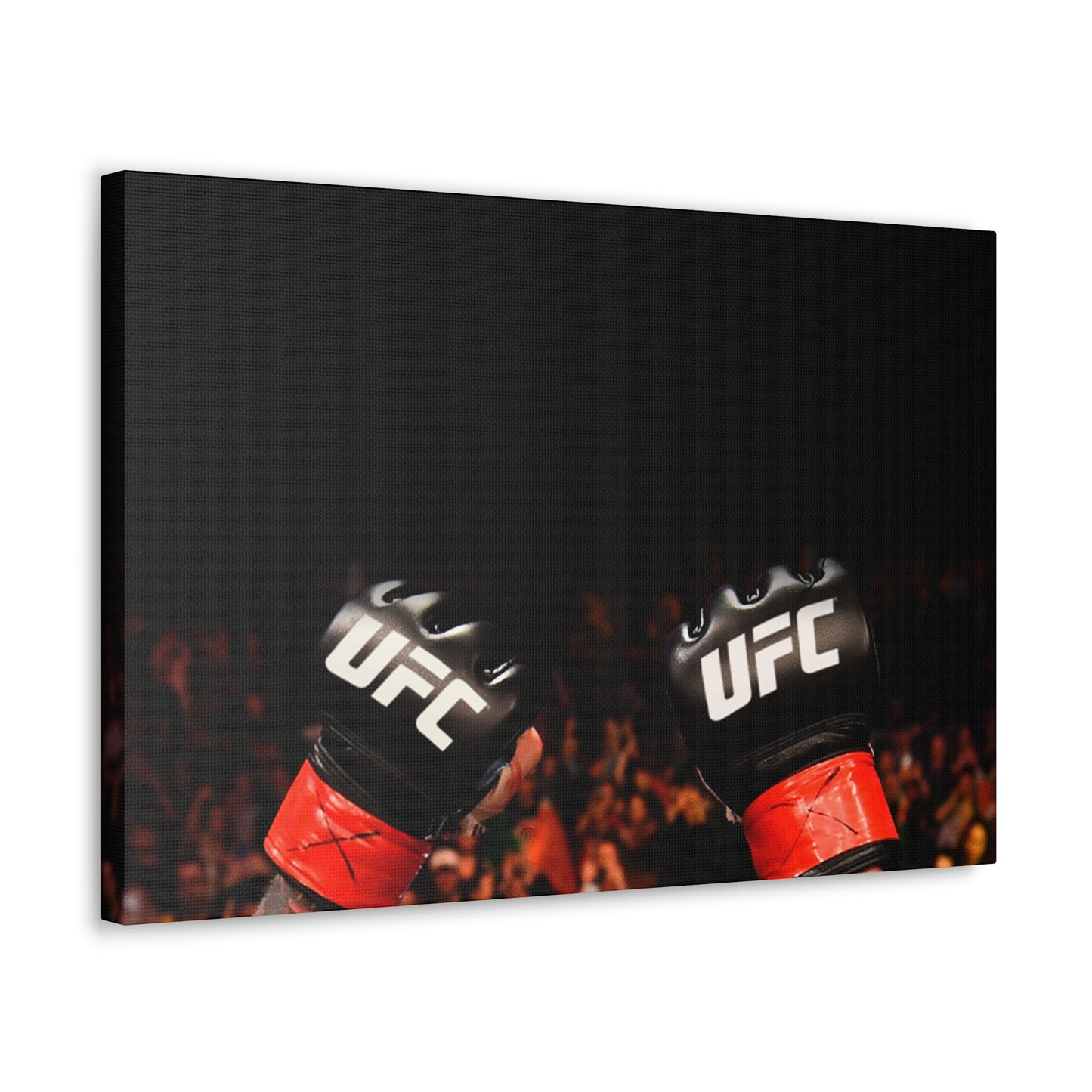 UFC Gloves Canvas