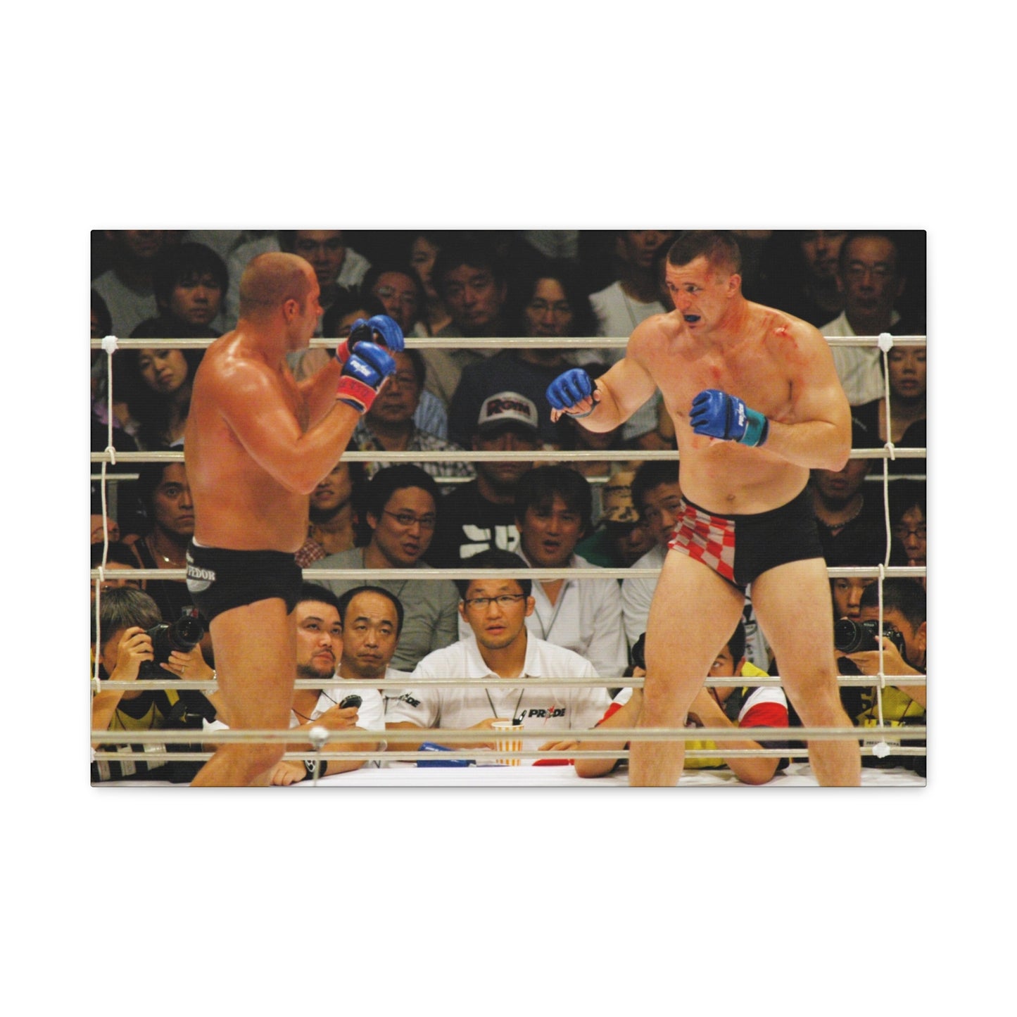 Cro-Cop vs Fedor Canvas