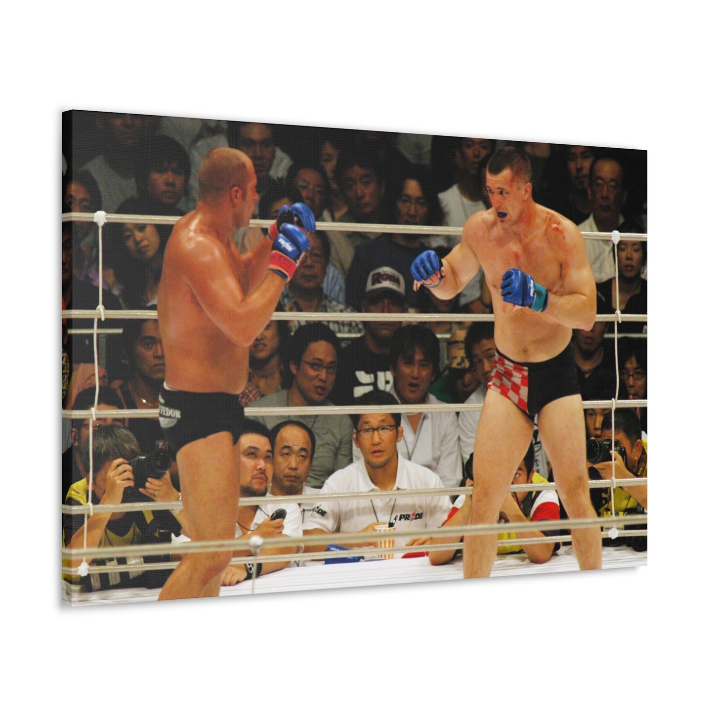 Cro-Cop vs Fedor Canvas