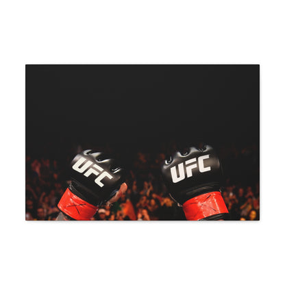 UFC Gloves Canvas