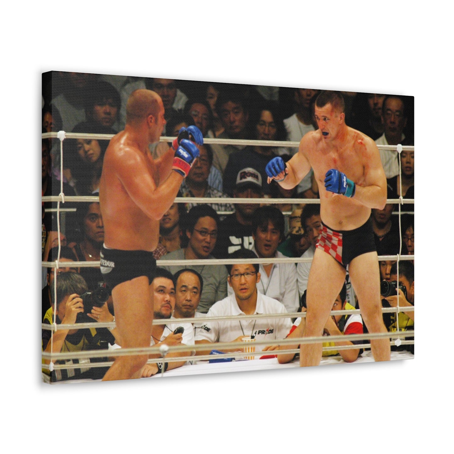 Cro-Cop vs Fedor Canvas