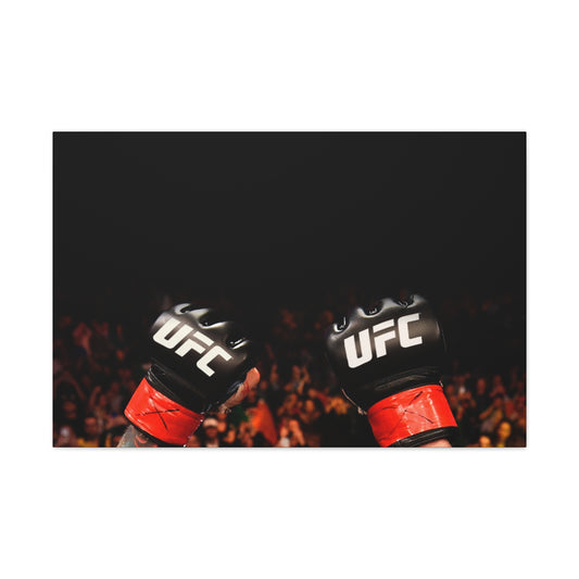 UFC Gloves Canvas